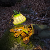 Kampled Katlanabilir Solar Kamp ve Çadır Feneri